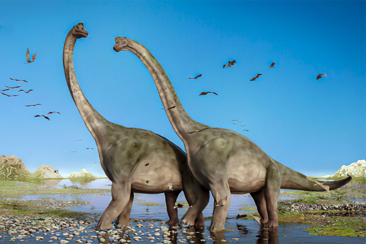 Зауроподы Брахиозавр