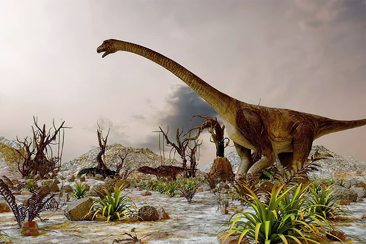  Dino Farm