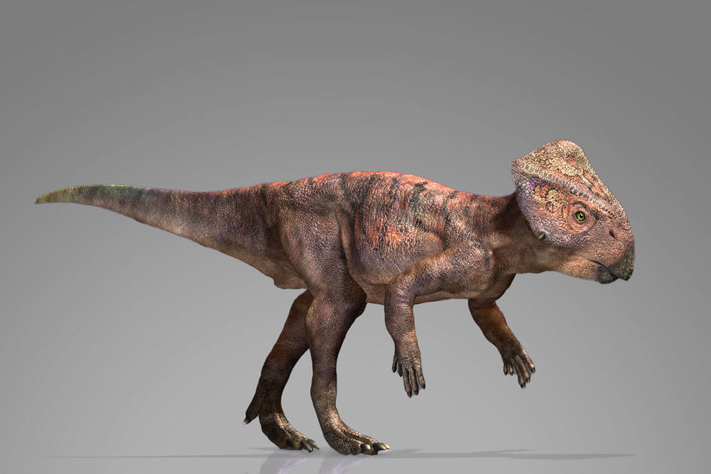 динозавр маленький